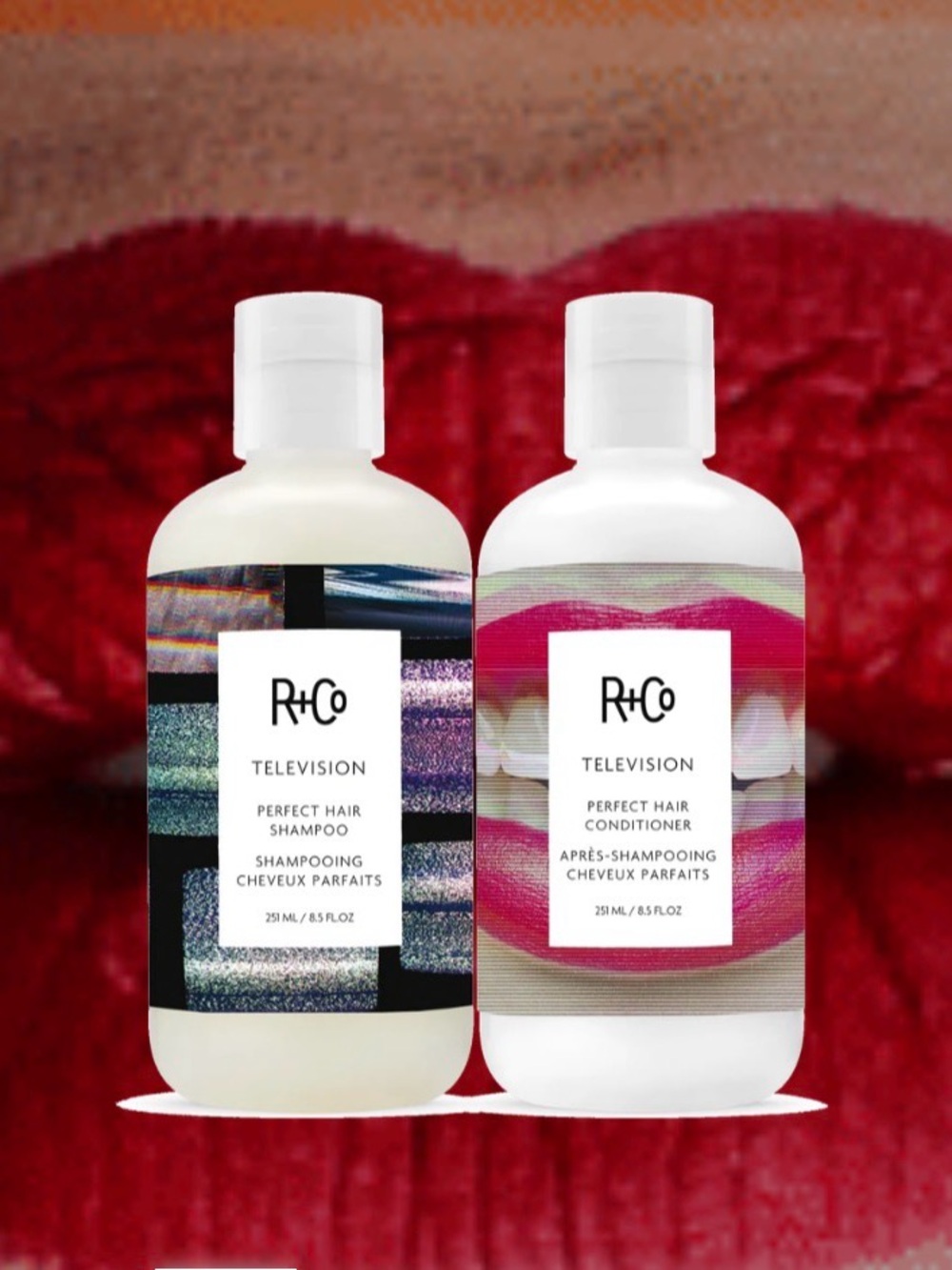 R+Co TELEVISION Perfect Hair Shampoo & Conditioner Duo Set - 8.5 oz / 251 mL